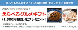NTTifネットZurich成約キャンペーン